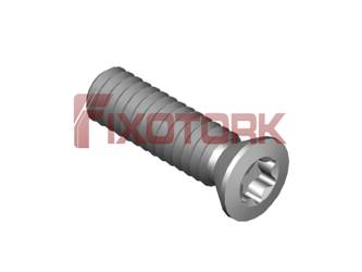 PARAFUSO TORX 20L70-B3006