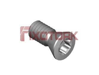 PARAFUSO TORX 35L80-B5515/24º