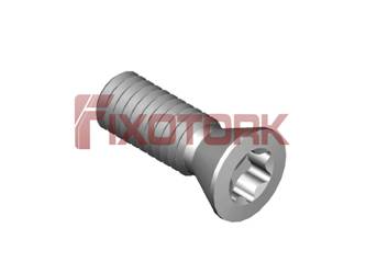 PARAFUSO TORX 35L10-B5515/24