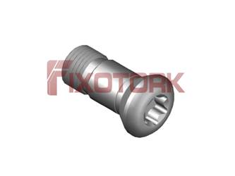 PARAFUSO TORX 50L12-K7520