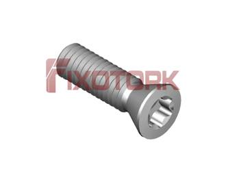 PARAFUSO TORX 35L12-B5515/24