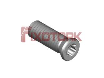 PARAFUSO TORX 50L13-B6520