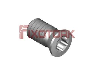 PARAFUSO TORX 40L75-B5415