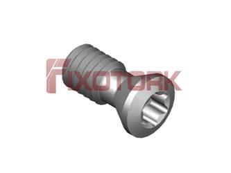 PARAFUSO TORX 40L95-E5615