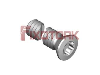 PARAFUSO TORX 20L12-B3006
