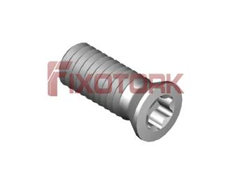 PARAFUSO TORX 40L10-B5415