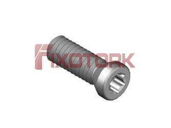 PARAFUSO TORX 25L69-A3507
