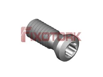PARAFUSO TORX 30L65-B4209