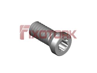 PARAFUSO TORX 30L69-A4209