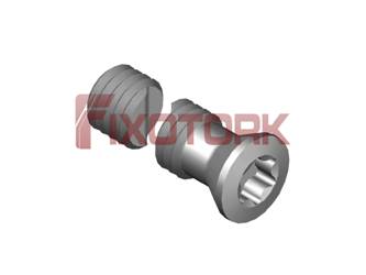 PARAFUSO TORX 50L18-B6620