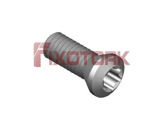 PARAFUSO TORX 35L10- A5515