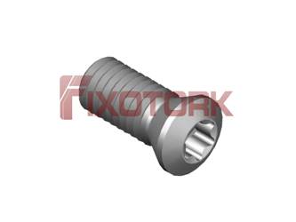 PARAFUSO TORX 50L12-B7220