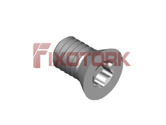 PARAFUSO TORX 40L60-W6515
