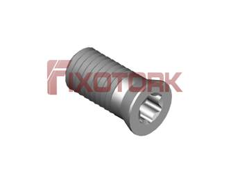 PARAFUSO TORX 50L10-B6320
