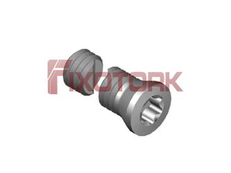 PARAFUSO TORX 35L15-B5010