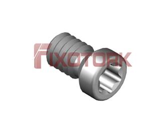 PARAFUSO TORX 22L45-A3007