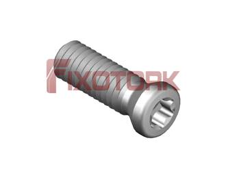 PARAFUSO TORX 40L13-A5515
