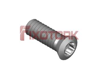 PARAFUSO TORX 20L60-B3006