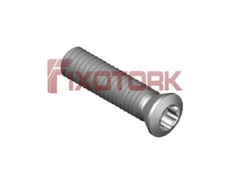 PARAFUSO TORX 30L12-A4209
