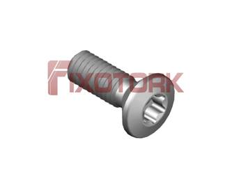 PARAFUSO TORX 35L10-G6815