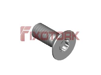 PARAFUSO TORX 50L12-W1025