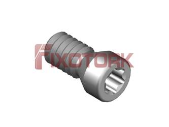 PARAFUSO TORX 22L50-A3007