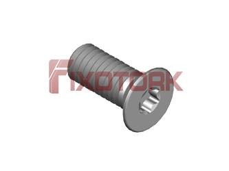 PARAFUSO TORX 35L80-W6009