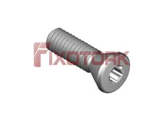 PARAFUSO TORX 40L14-E6915
