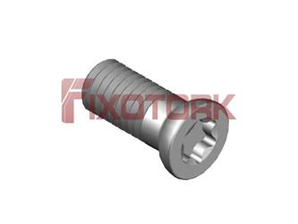 PARAFUSO TORX 50L12-AJ7425