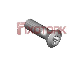 PARAFUSO TORX 40PO5L10-E6915