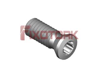 PARAFUSO TORX 35L90-B4710