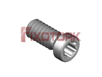 PARAFUSO TORX 22L55-A3007