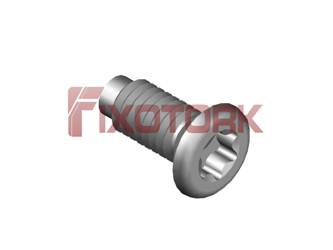 PARAFUSO TORX 40L10-W7020