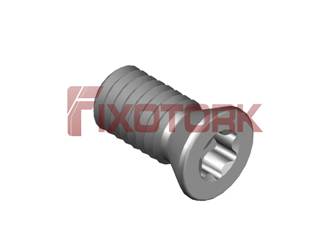 PARAFUSO TORX 30L60-W4308