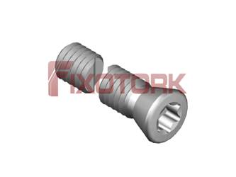 PARAFUSO TORX 45L28-K6520