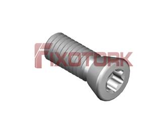 PARAFUSO TORX 45L13-K6920