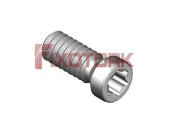 PARAFUSO TORX 22L60-A3007