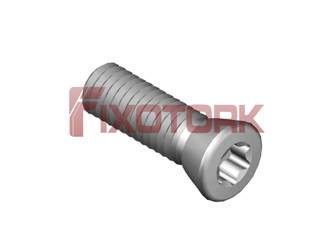 PARAFUSO TORX 45L15-K6920