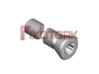 PARAFUSO TORX 45L17-K6920