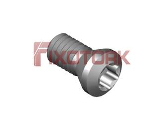 PARAFUSO TORX 35L75-A5415