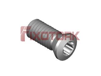 PARAFUSO TORX 50L12-A6920