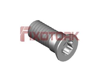 PARAFUSO TORX 45L11-Z6920