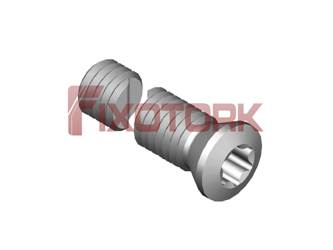 PARAFUSO TORX 50L22-A6920