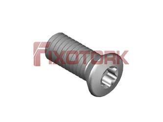 PARAFUSO TORX 50L12-G7620