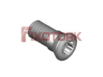 PARAFUSO TORX 45L11-B6920