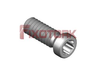 PARAFUSO TORX 22L65-A3007
