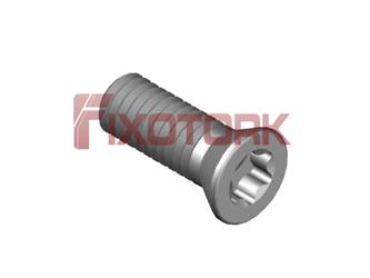 PARAFUSO TORX 35L10-W5515