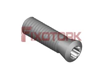 PARAFUSO TORX 50L18-B6320