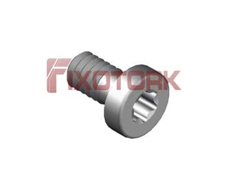 PARAFUSO TORX 22L46-A3107