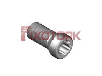 PARAFUSO TORX 22L53-B3007